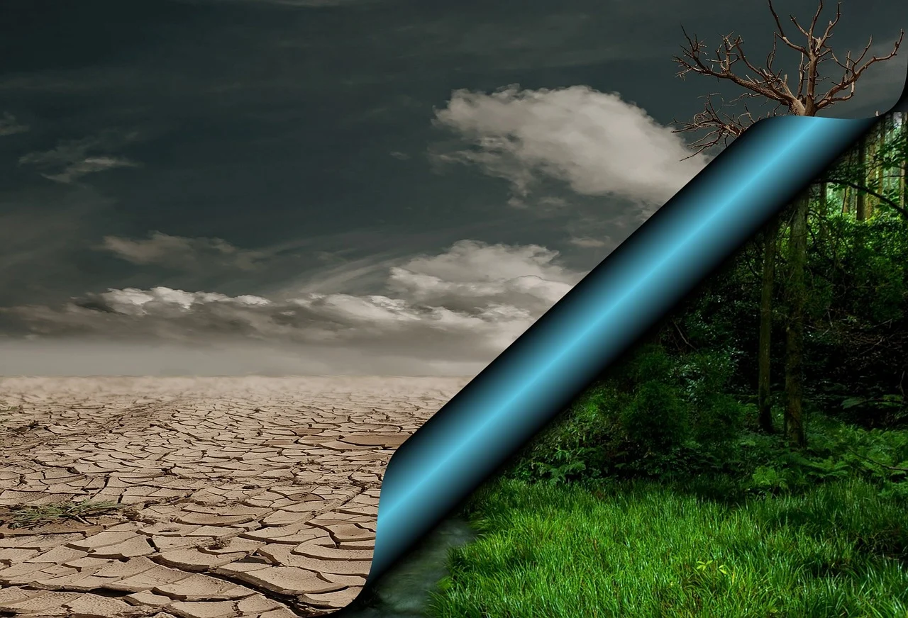 Crisis del agua en el mundo. Esto dicen los medios internacionales ...
