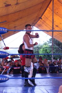 Davisha luchador exótico