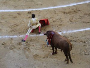 CORRIDAS_TOROS2