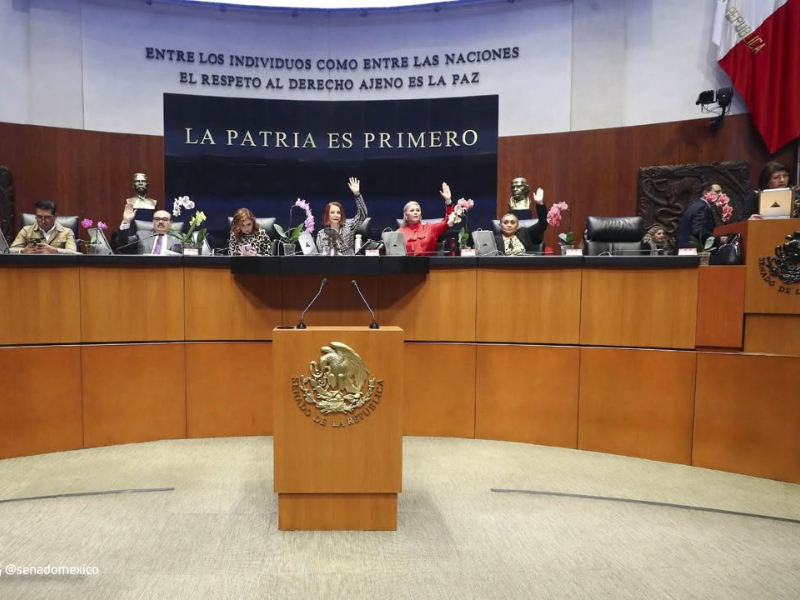 Senado aprueba Ley General para Prevenir, Investigar y Sancionar la ...