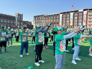 ZOCALO VERDE