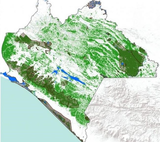 resiliencia chiapas