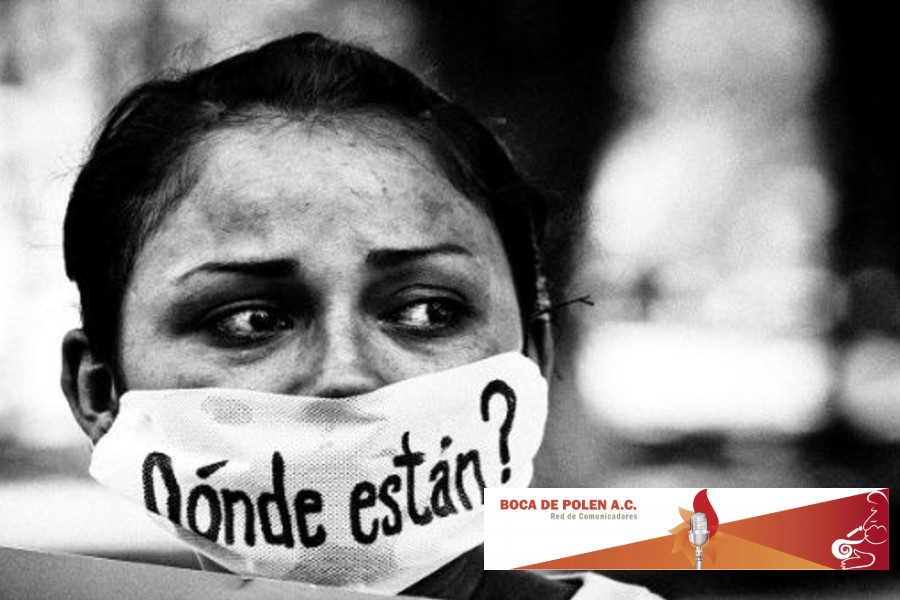 Portada Boca de Polen