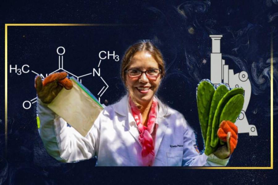 Nopal como nuevo sustituto del plástico