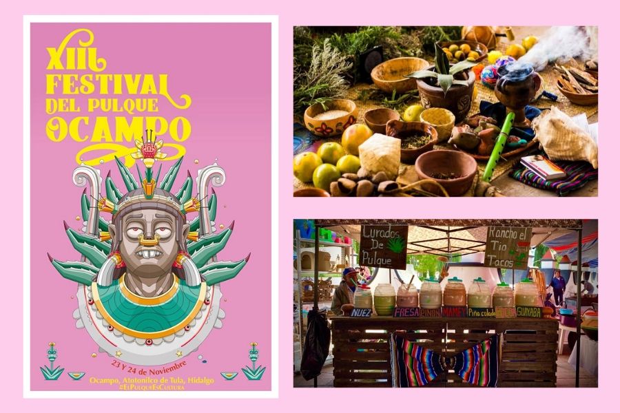 festival del pulque (1)