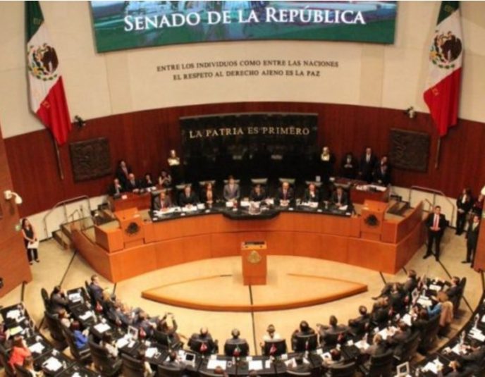 Senado-terna