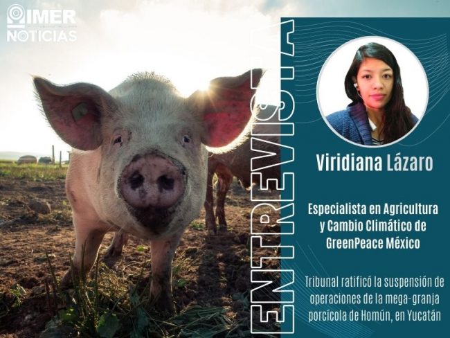Entrevista Viridiana Lázaro