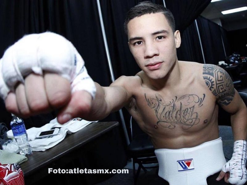 box atletas