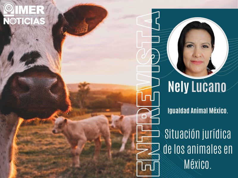 Derechos de animales