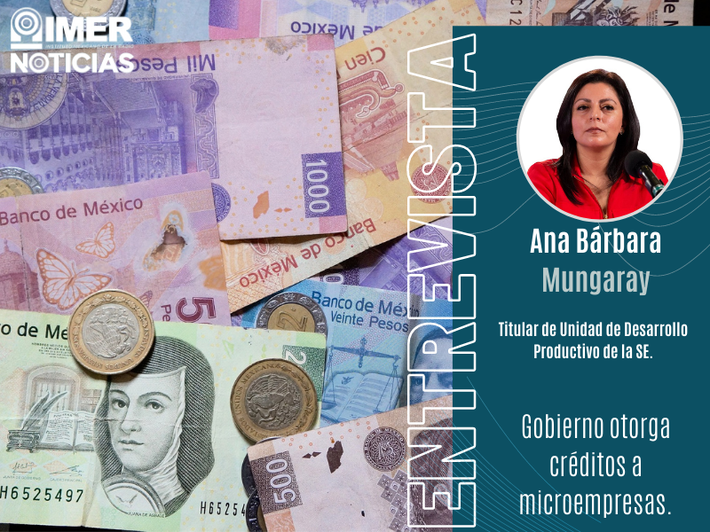 apoyo-microempresas
