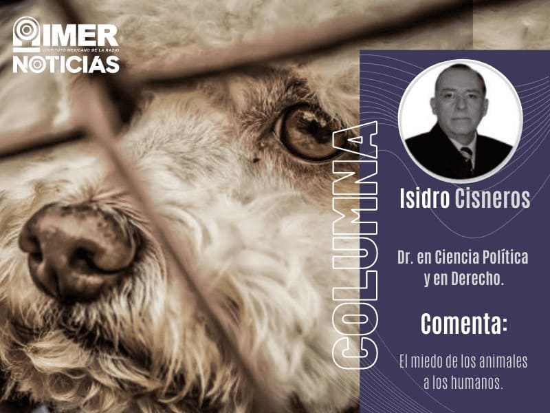 Isidro Cisneros ecología del miedo