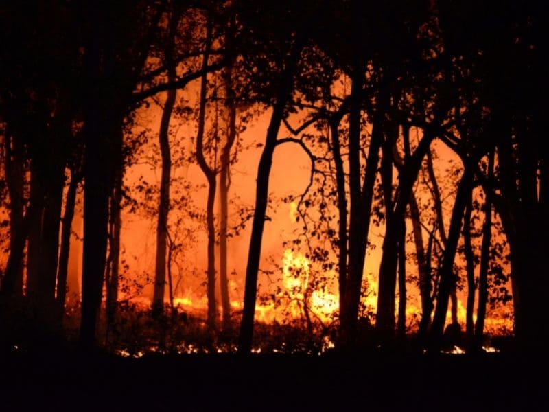 incendio dixie
