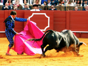Corridas toros Sader