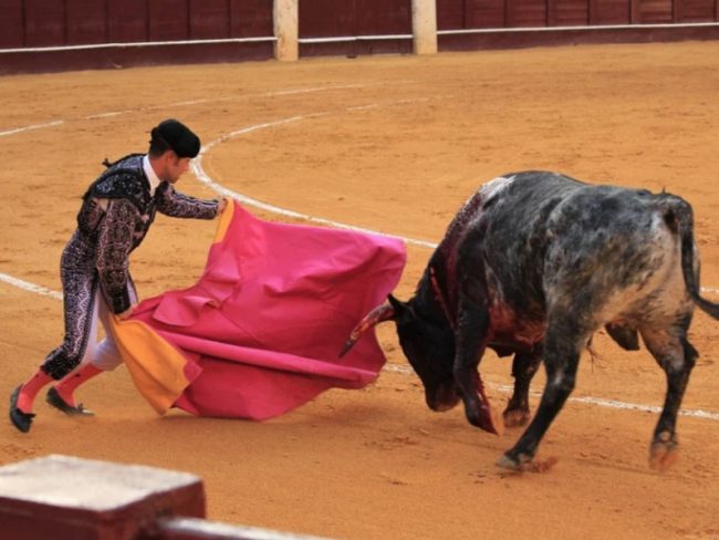 corridas de toros
