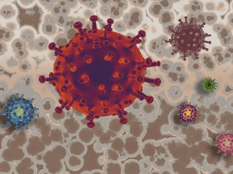 COVID-19 FLiRT contagios