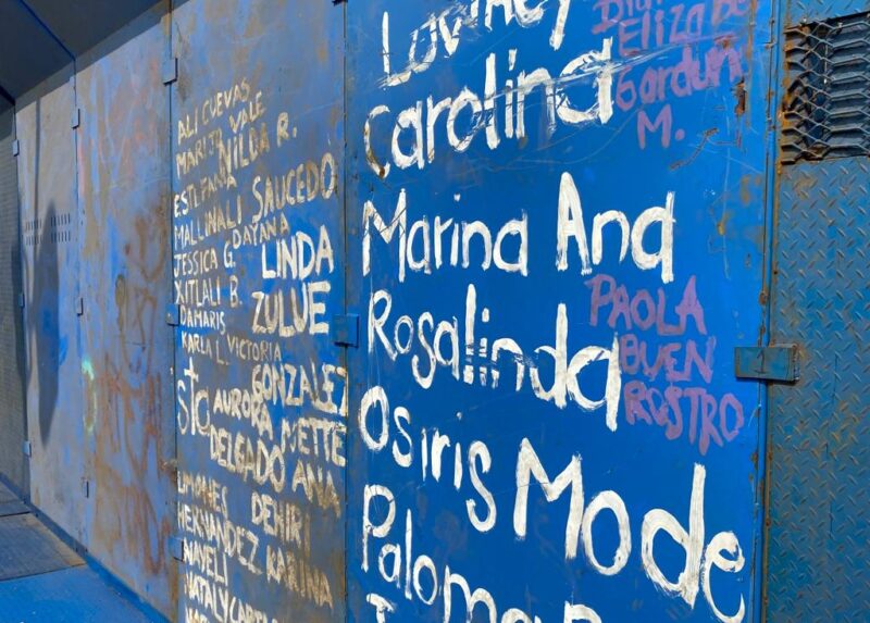 ced desaparición forzada