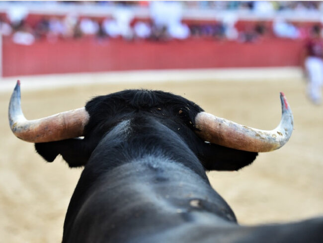 corrida-de-toros
