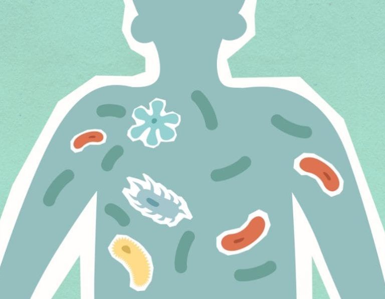 microbioma