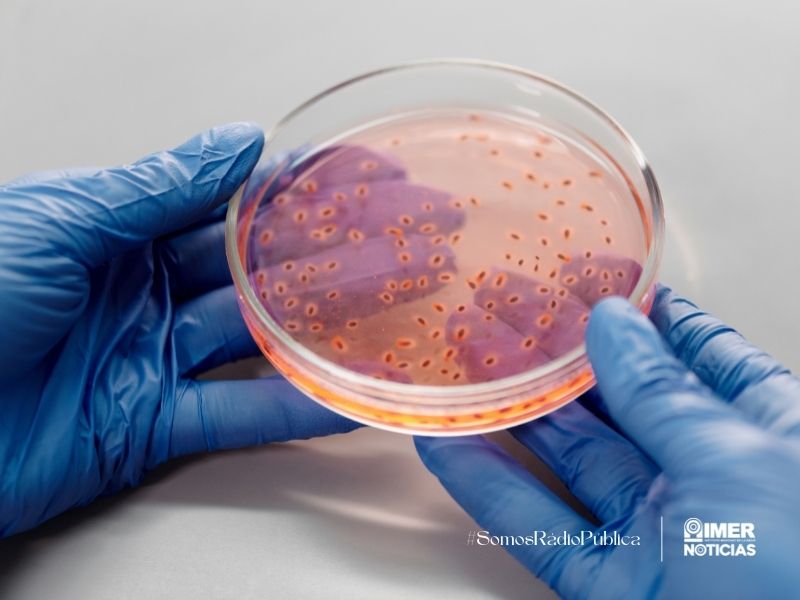 Virus gigantes Groenlandia deshielo Mpox emergencia sanitaria África