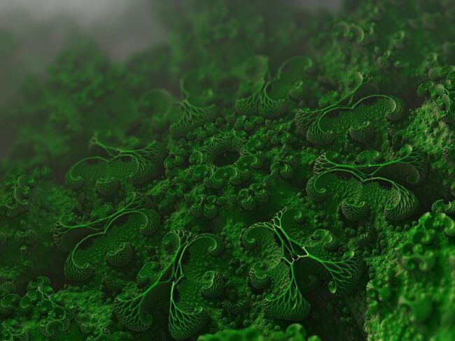 resistencia-antimicrobiana