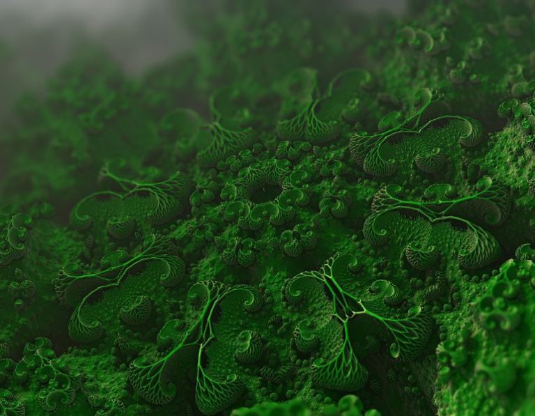 resistencia-antimicrobiana