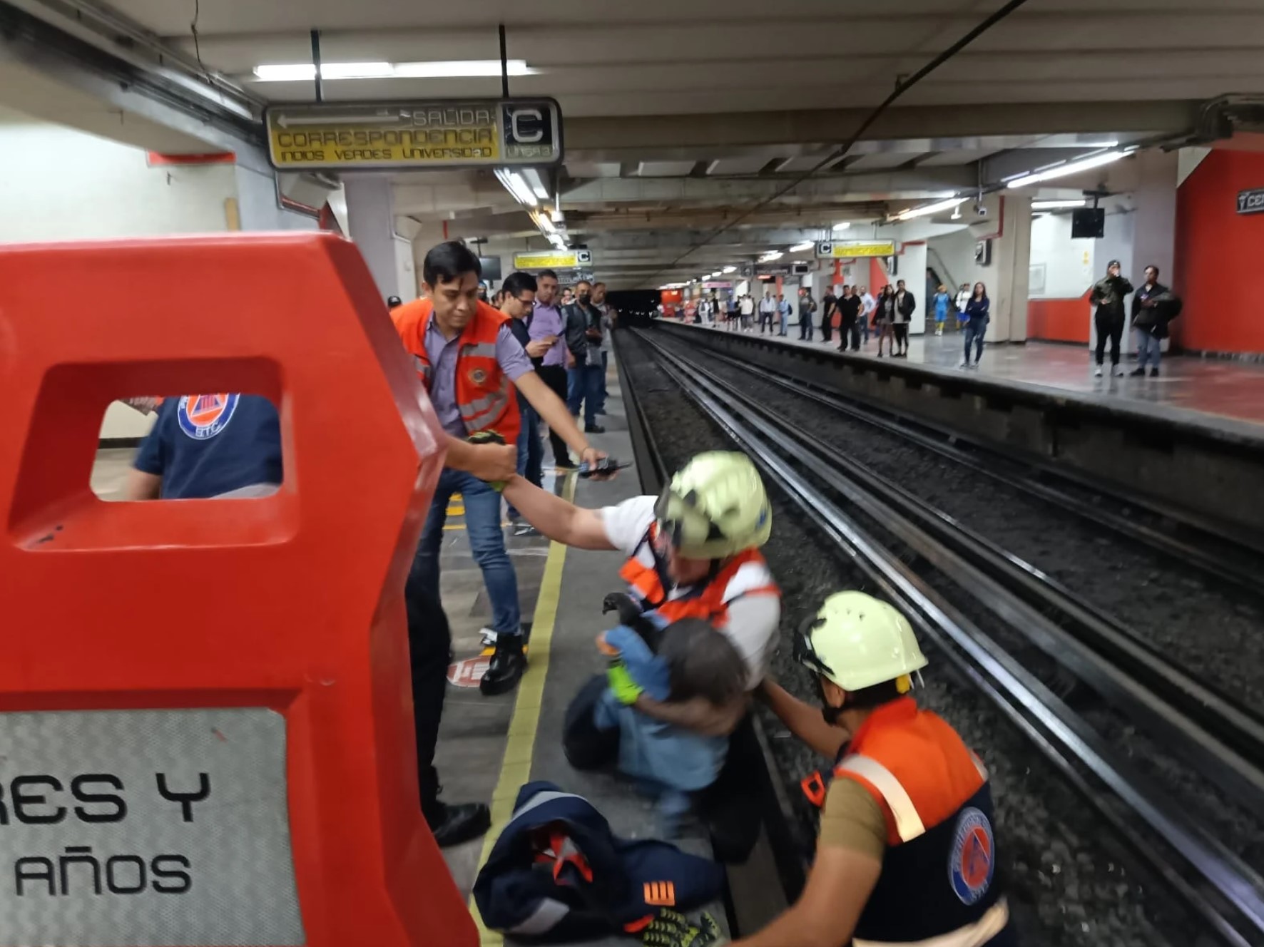 Gallina rescatada de las vías de la Línea 9 del Metro