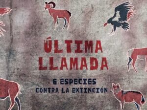 Extinción