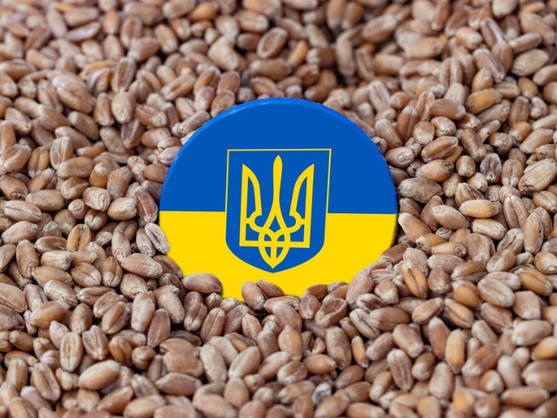 acuerdo de granos del mar negro