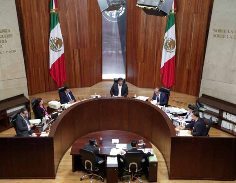 Tribunal-Electoral