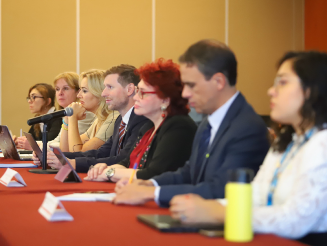 ONU-delegación.detencione-arbitrarias