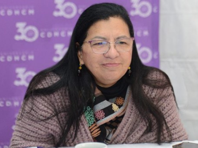 Comisión-Derechos-Humanos-CDMX