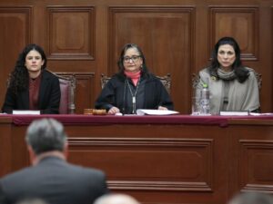 Informe de Norma Piña