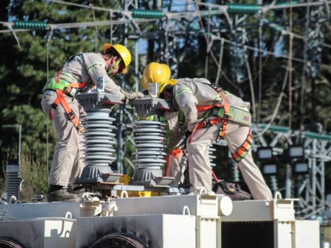 CFE energia electrica