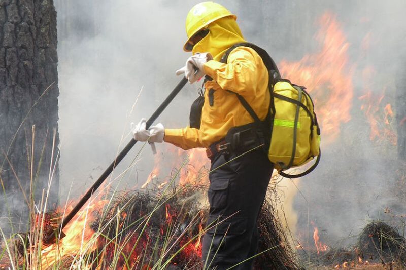incendios forestales