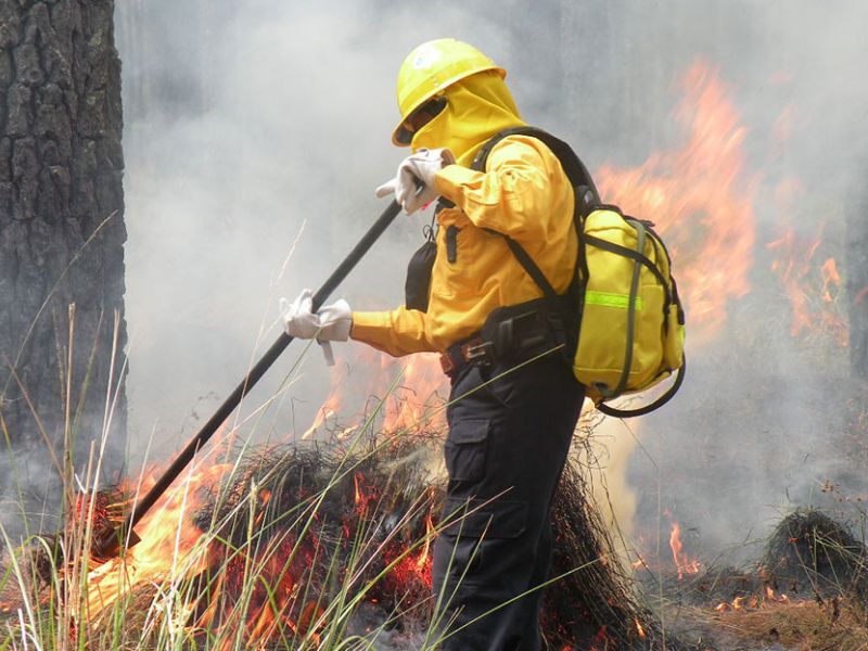incendios forestales