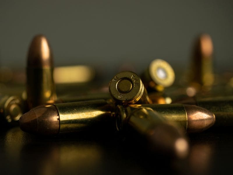 diputados violencia elecciones