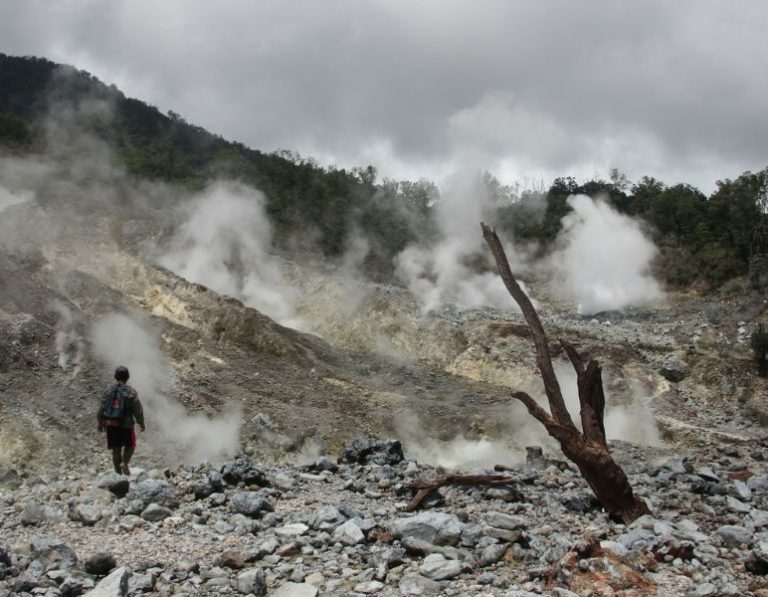 defensores medio ambiente