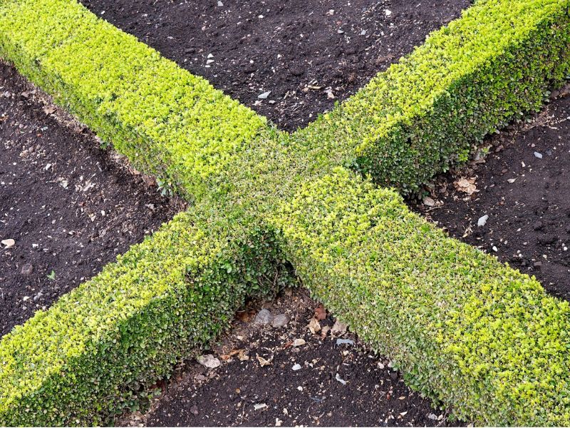 voto_sostenible_Yucatán