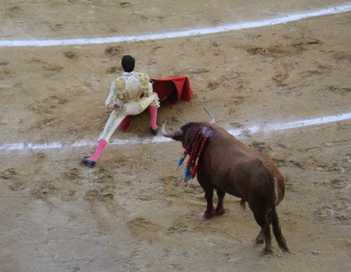 Corridas de toros Plaza México suspensión temporal