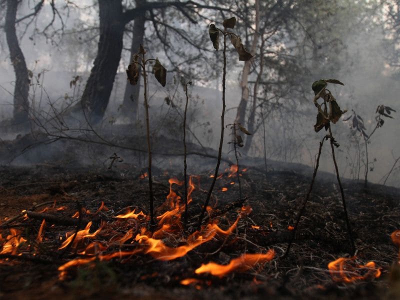 Sequía e incendios forestales Sequía e incendios forestales
