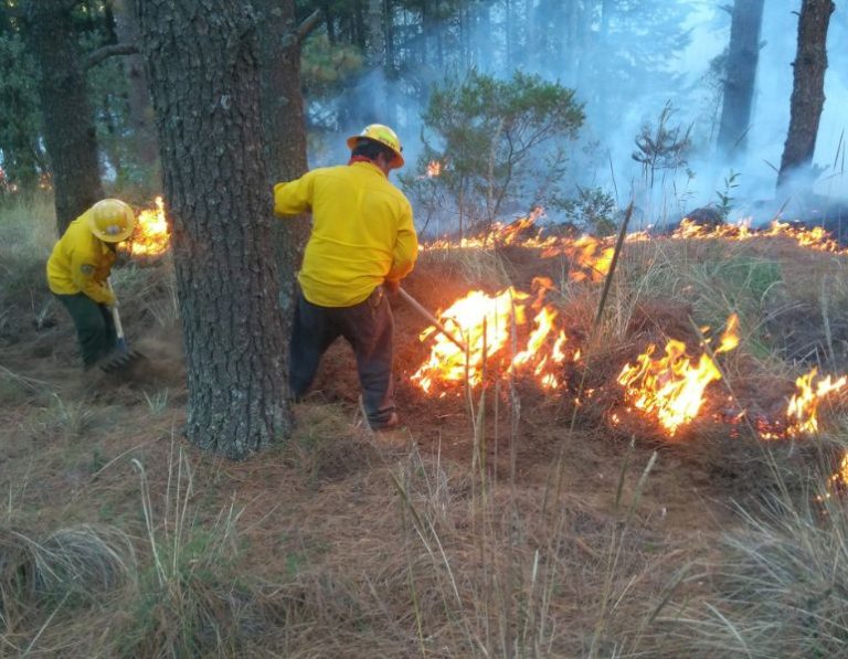 incendios edomex