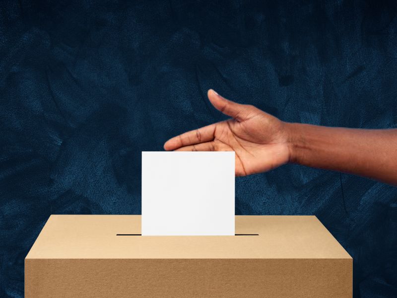 voto comunidad afromexicana