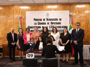 INE diputados