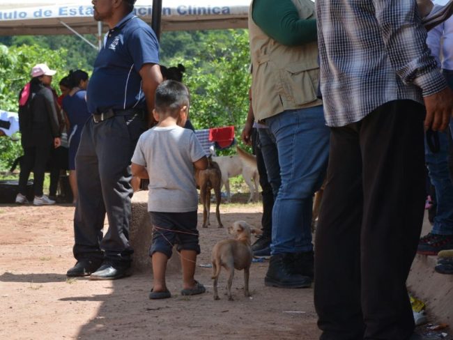 Guatemala permanencia razón humanitaria
