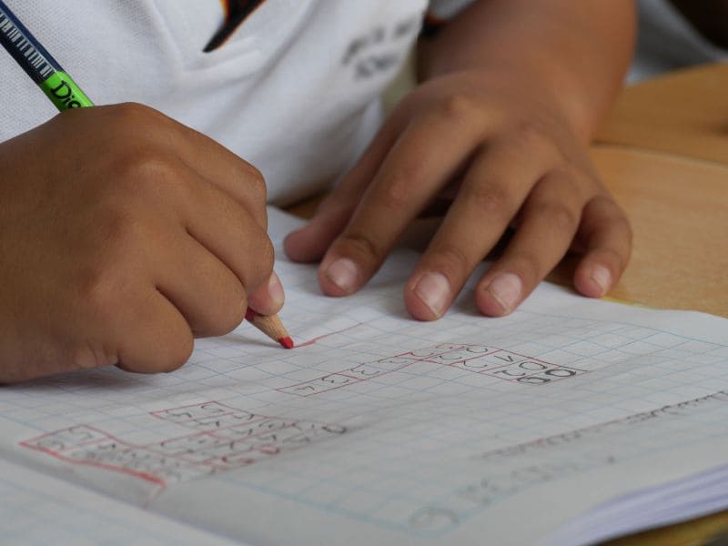 Veracruz Puebla Oaxaca suspensión de clases Veracruz Puebla Oaxaca suspensión de clases