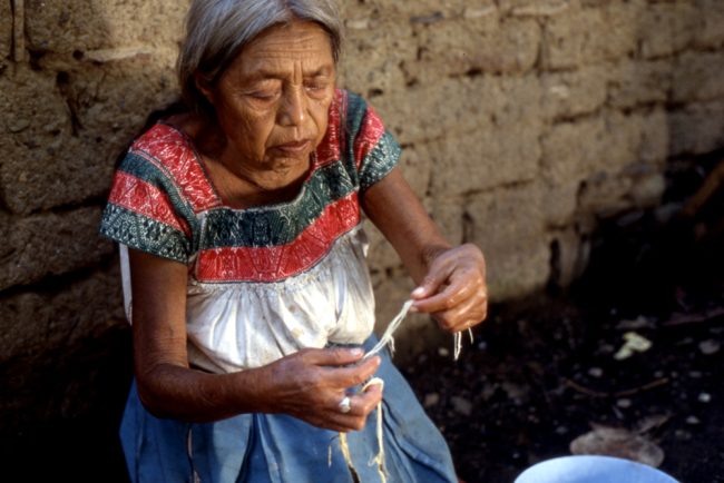 Sheinbaum mujeres indígenas 60 a 64 años