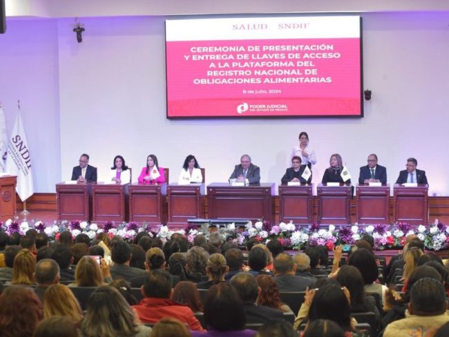 deudores alimentarios