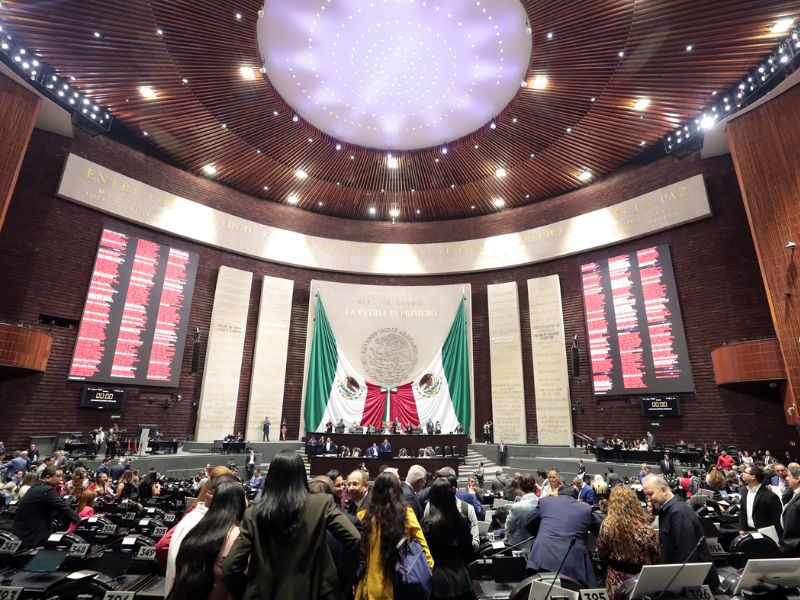 reforma-pueblos-indígenas-afromexicanos reforma-pueblos-indígenas-afromexicanos