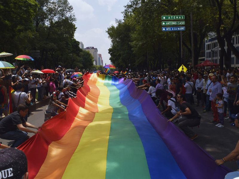 actividades de la Marcha actividades de la Marcha