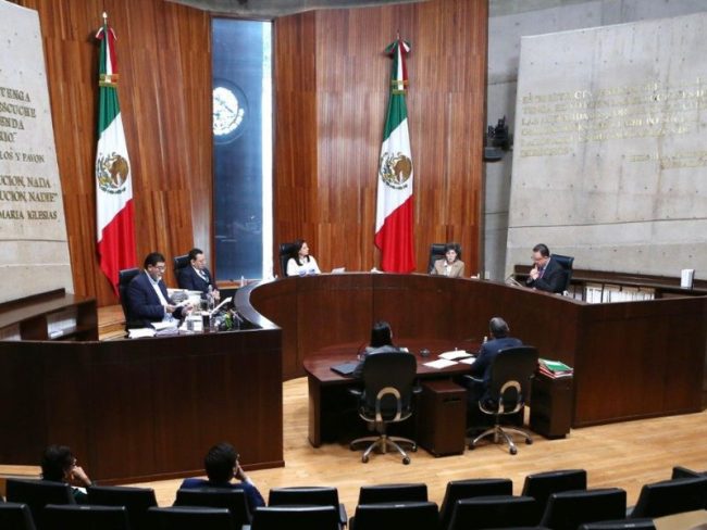 TEPJF_INE Mónica Fregoso